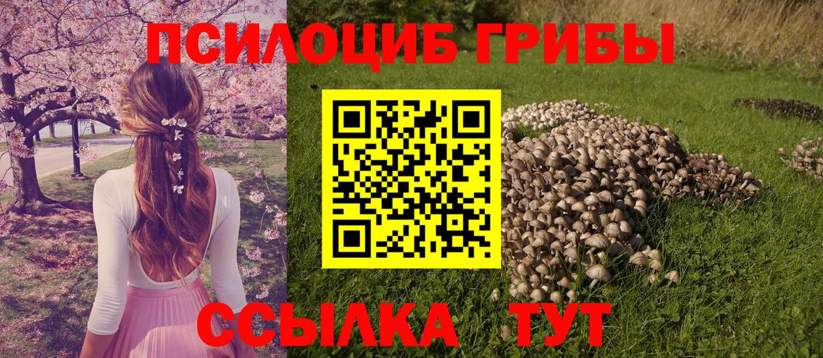Псилоцибиновые грибы мухоморы Балашов