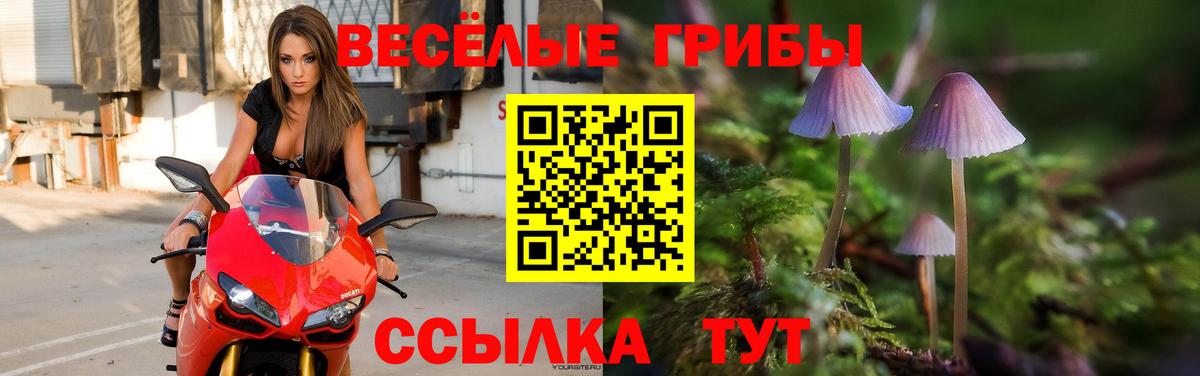 Галлюциногенные грибы Cubensis  Вход с VPN  Балашов 